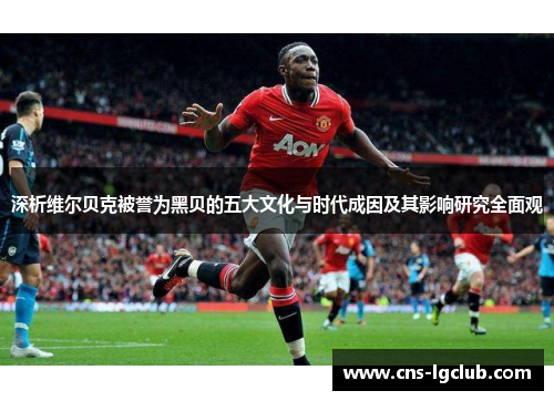 深析维尔贝克被誉为黑贝的五大文化与时代成因及其影响研究全面观