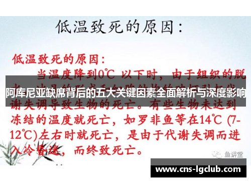 阿库尼亚缺席背后的五大关键因素全面解析与深度影响