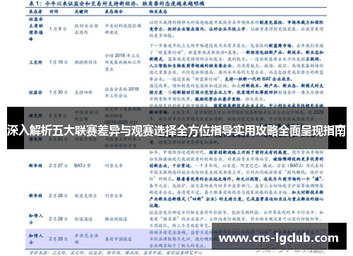 深入解析五大联赛差异与观赛选择全方位指导实用攻略全面呈现指南 深入解析五大联赛差异与观赛选择全方位指导实用攻略全面呈现指南