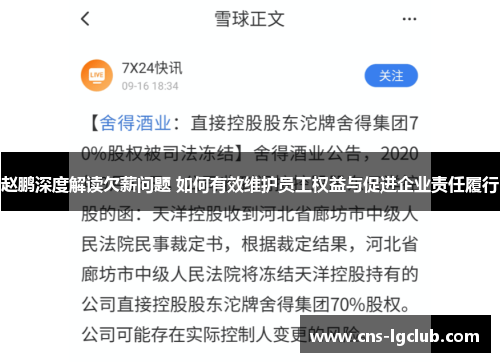 赵鹏深度解读欠薪问题 如何有效维护员工权益与促进企业责任履行