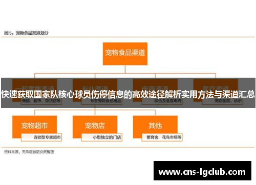 快速获取国家队核心球员伤停信息的高效途径解析实用方法与渠道汇总