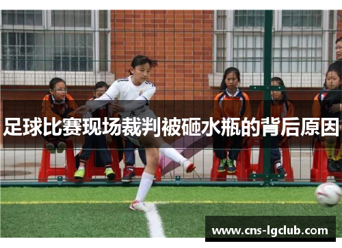 足球比赛现场裁判被砸水瓶的背后原因